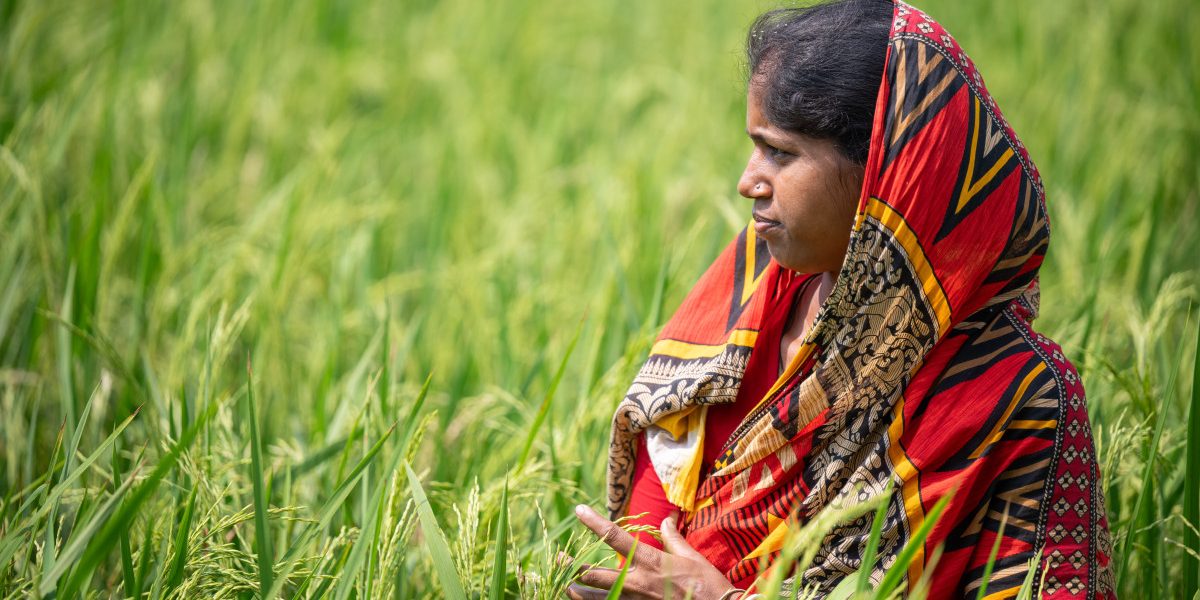 How Women Farmers in the Sundarban Are Reviving Indigenous Rice Varieties