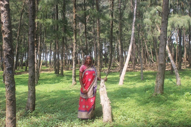 Every forest needs a Bengalata
